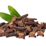 Cloves