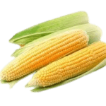 Fresh corn