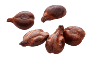 Grape seeds